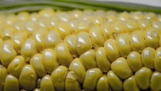 「遺伝子組み換え」食品の危険性に迫る！健康や環境への影響と2つのメリット 